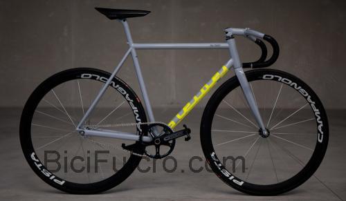 Stelbel Ortica scheda tecnica e recensioni